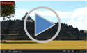 Icon_Video_joglo.png